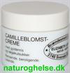Camilleblomst Creme Elizabeth L�vegal